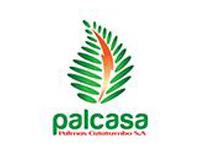 Palcasa